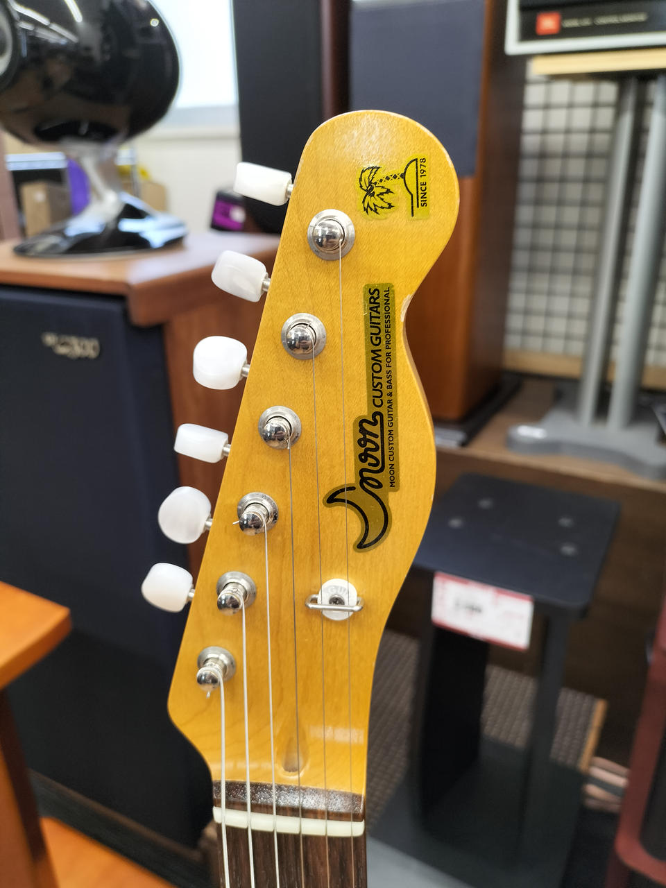 MOON PGM テレキャスター カスタムコンポーネント製 エレキギター MOON