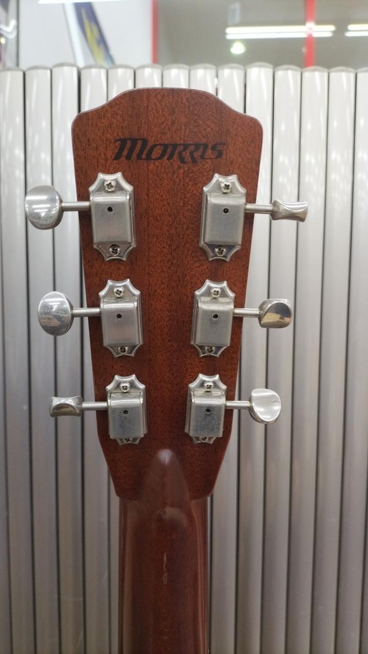 Morris アコースティックギター WF808