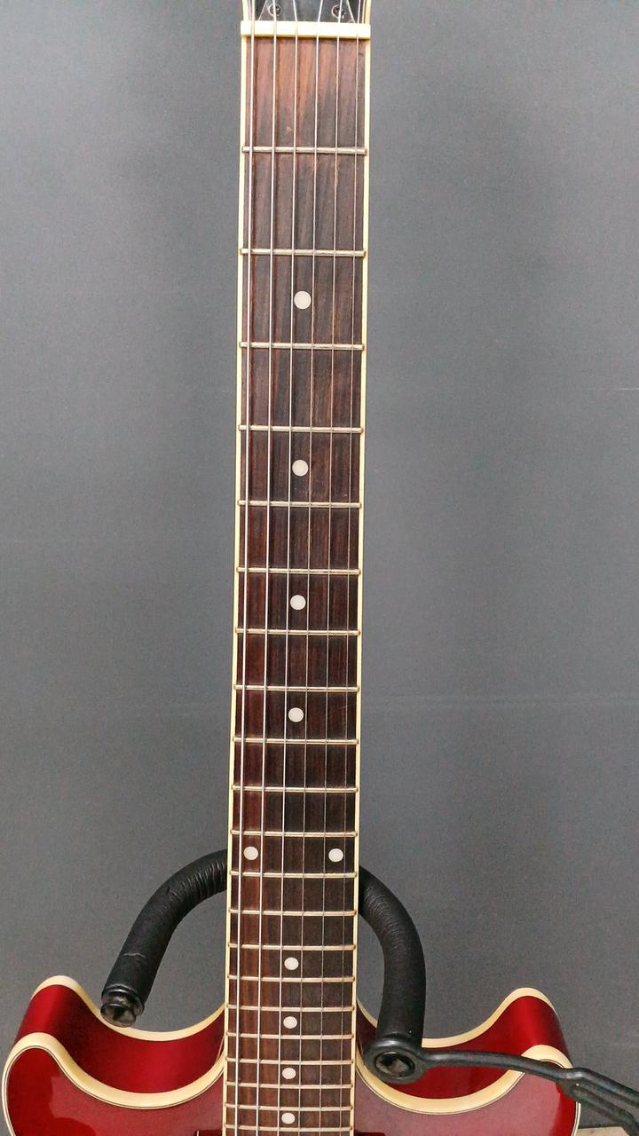 アイバニーズ(IBANEZ)|セミアコ|【ハードオフ公式通販】オフモール