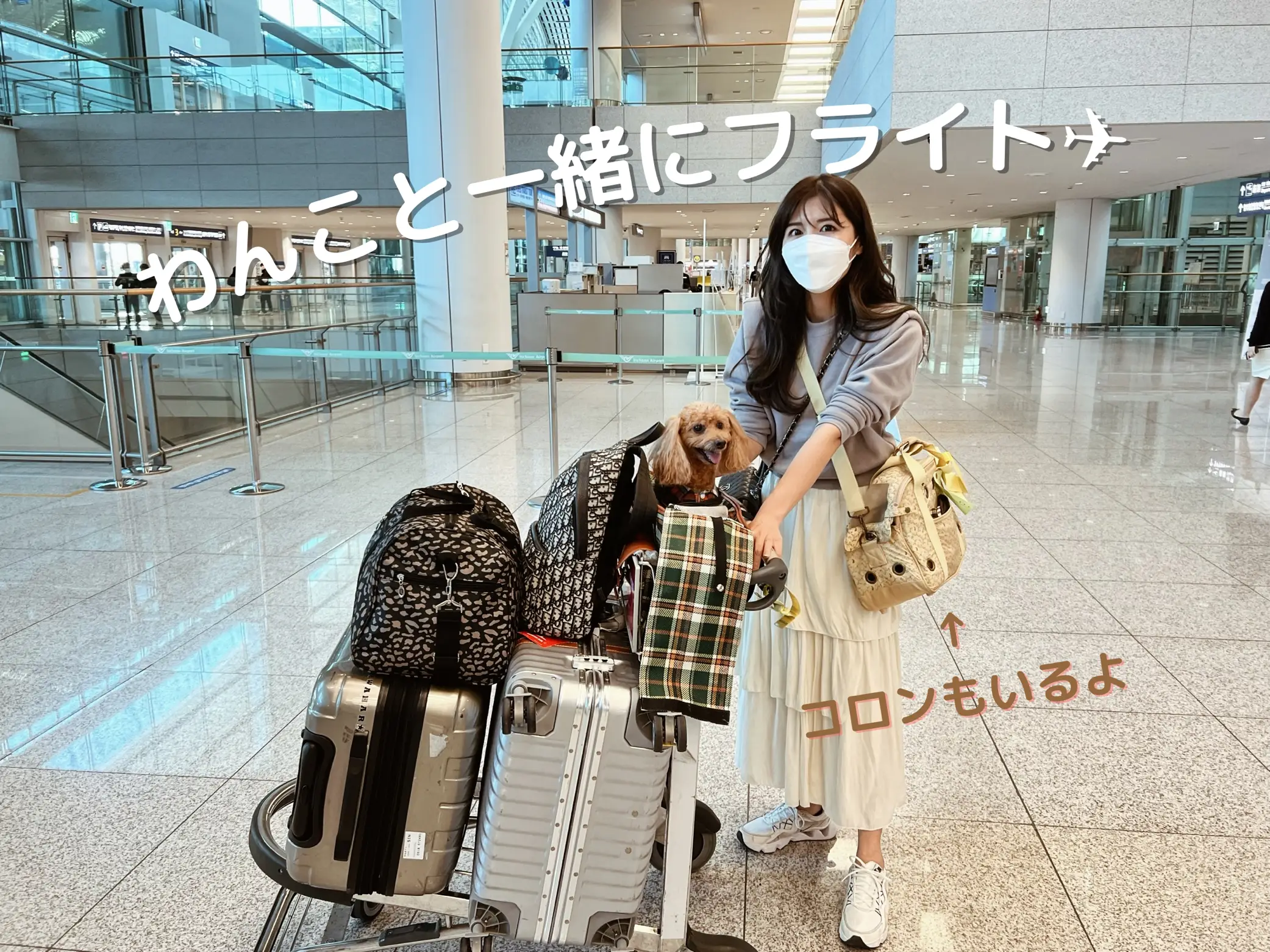 大韓航空 トラベル レディバッグ ミニキャリーケース ミニバック