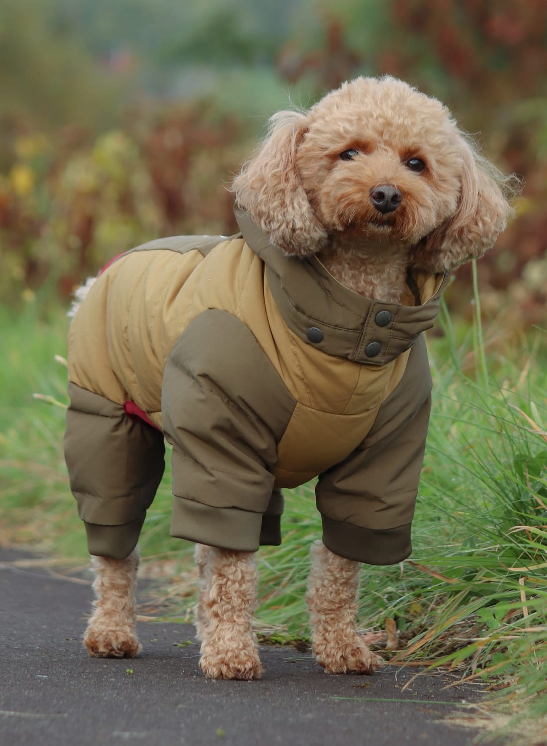 SP DOG DOWN JACKET|SP ドッグ ダウンジャケットSP ドッグ ダウン