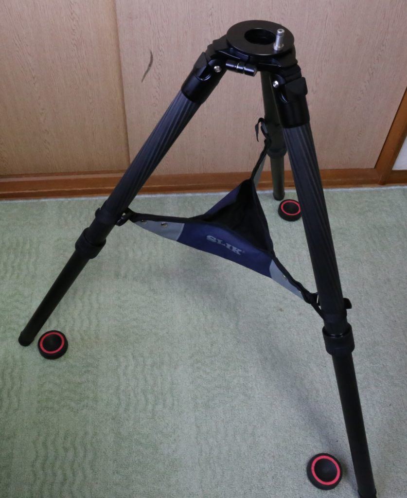 コンゴ産 赤道州 トルクアタ 68mm 【公式通販】