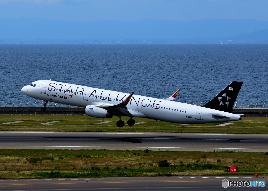 アシアナ航空 Aviationtagt A321-100 スターアライアンスロゴ アシアナ