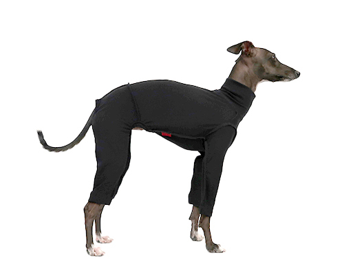 ラグウォームオールインワン イタグレサイズ pim:liko（ピムリコ）