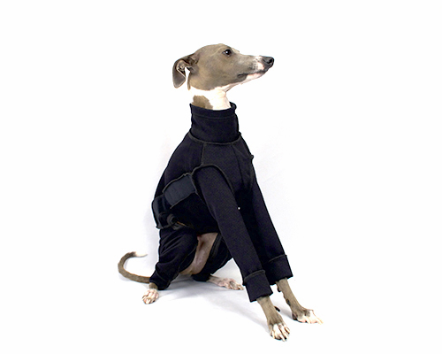 トラックスーツ イタグレサイズ pim:liko（ピムリコ）