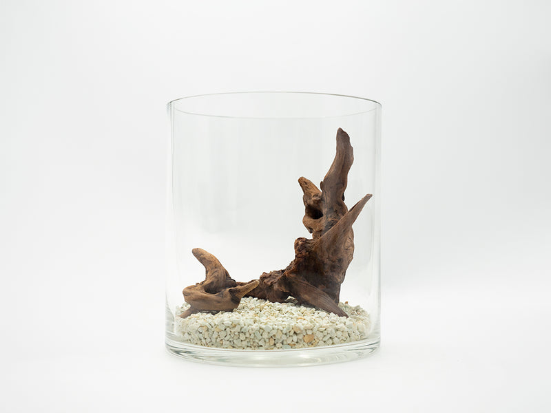 流木指定グラスアクアリウムセット CYLINDER007 – PINTOオンラインストア