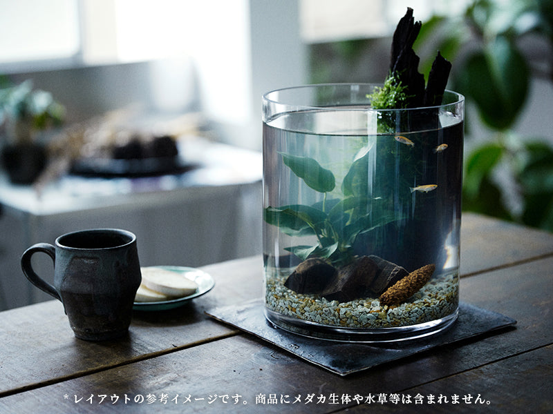 流木指定グラスアクアリウムセット CYLINDER007 – PINTOオンラインストア