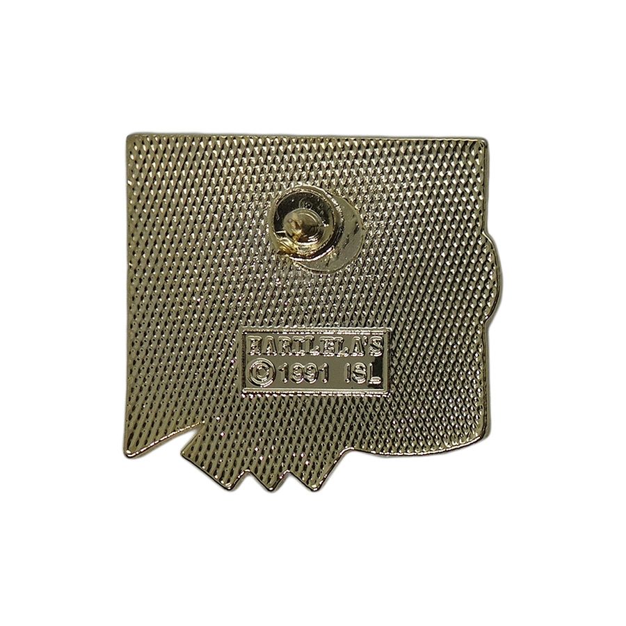 1994年 FIFA ワールドカップ アメリカ大会 ピンズ サッカー フランス