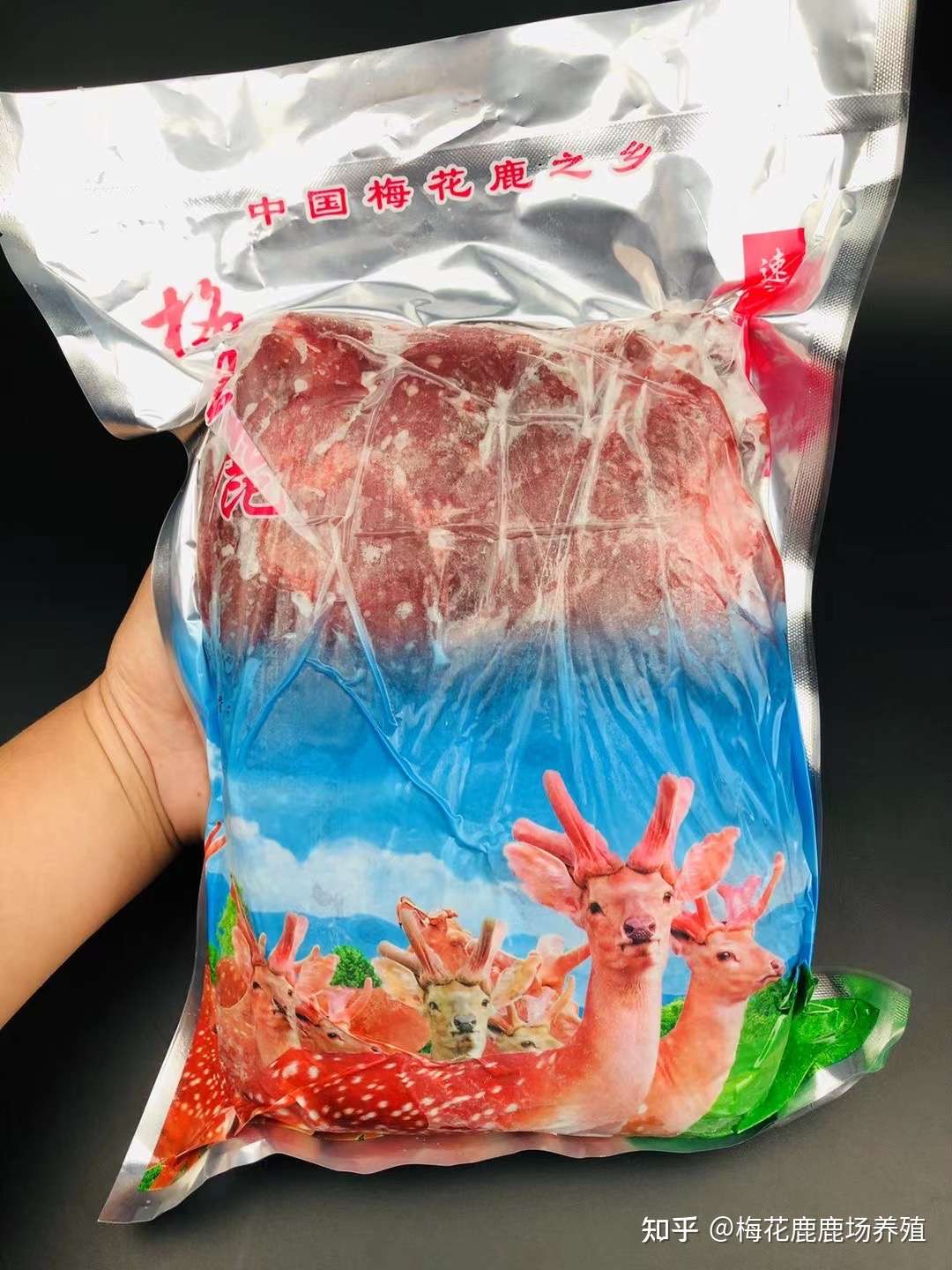 鹿の角16本 袋角 エゾシカ 鹿茸