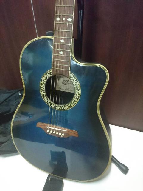 Aria アリア エレアコ AMB-35 GRS グリーンシェイド Aria アリア