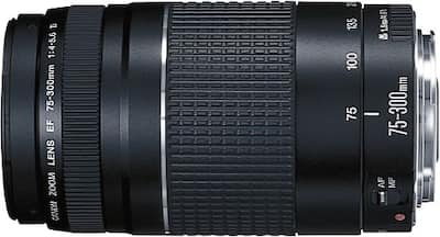Canon EF75 300mm F4 5.6 III Telephoto Zoom Lens for EOS DSLR