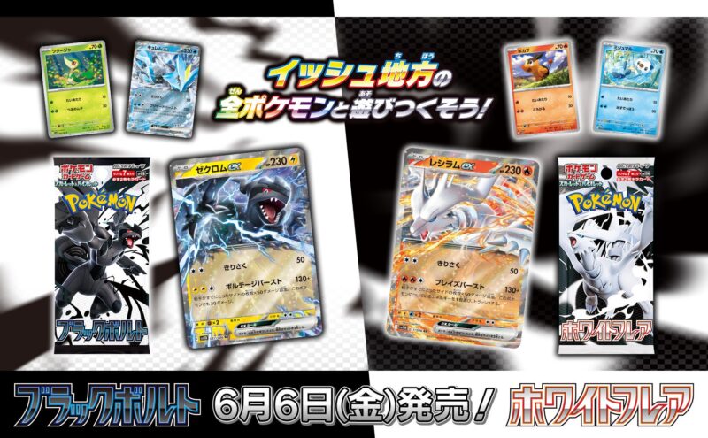 Pokémon ブラックボルト ホワイトフレアAR 144種 全種コンプリート