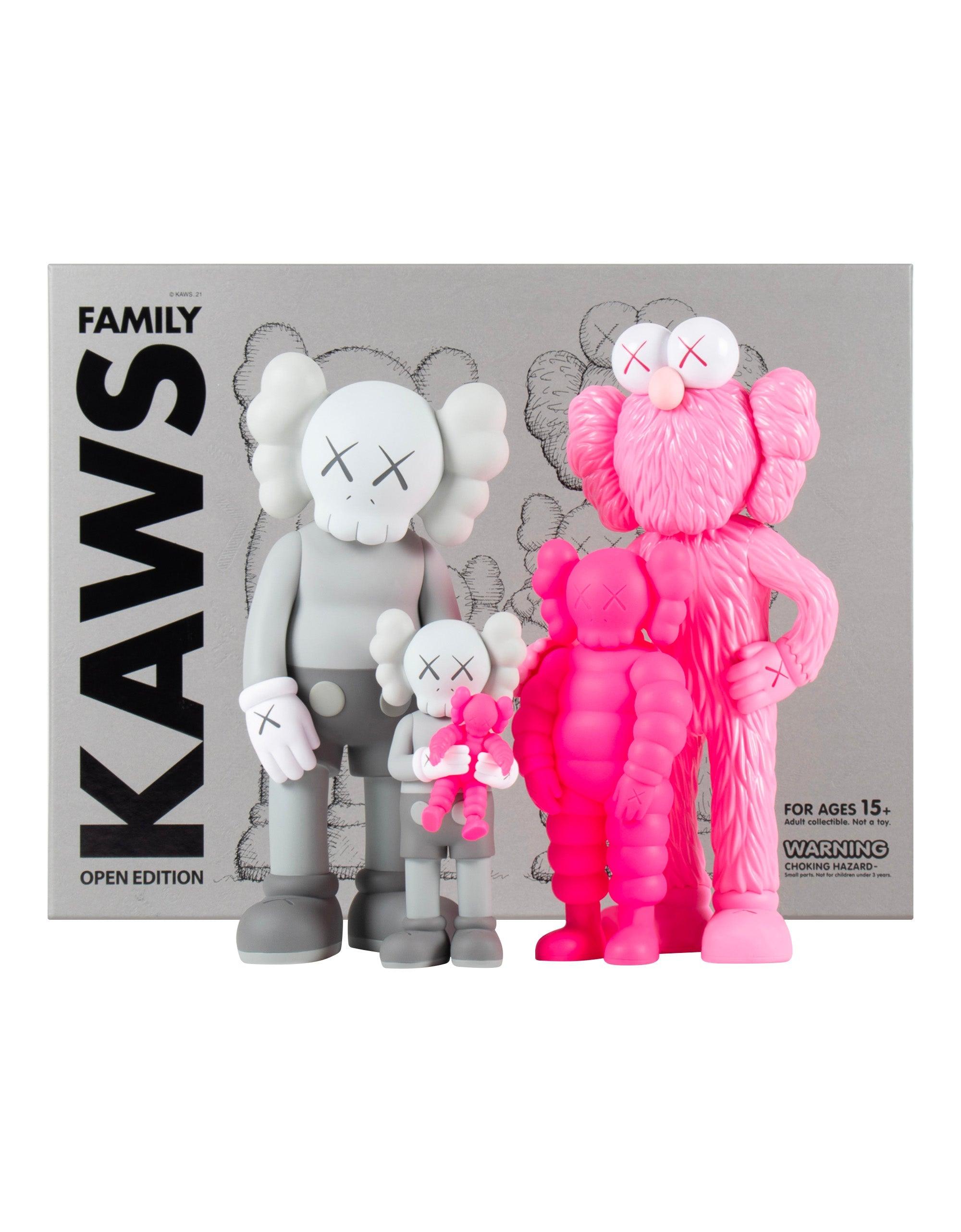 KAWS - Family Grey/Pink, 2022 – PopArtFusion