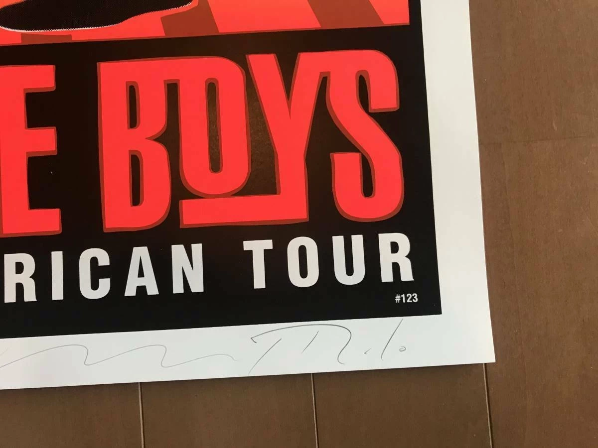 Beastie Boys North America Tour New York 94 T.A.Z. | PosterDrops.com