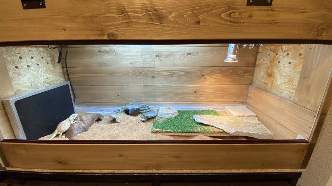 爬虫類ケージ セット 自作