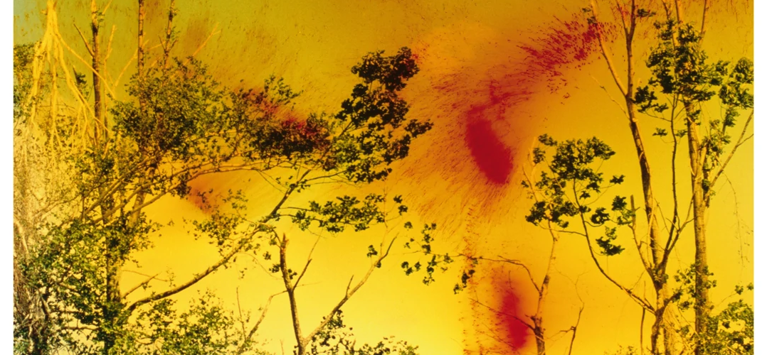 芸術写真 Wolfgang Tillmans Icestorm (2001) Poster (2001) 芸術写真