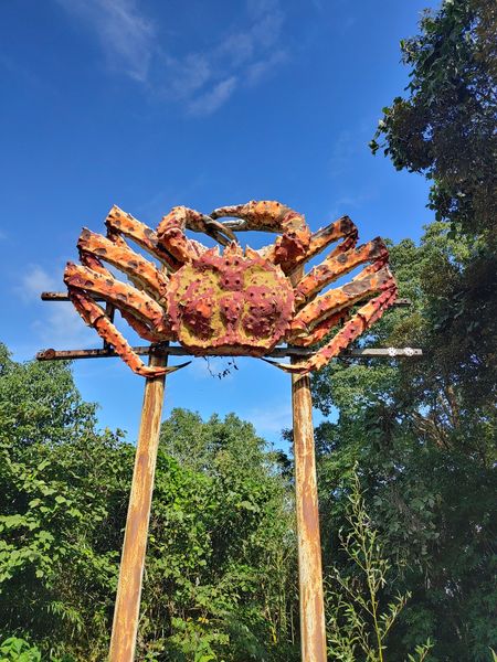 佐瀬のカニ | 一般社団法人プラスアイエヌジー