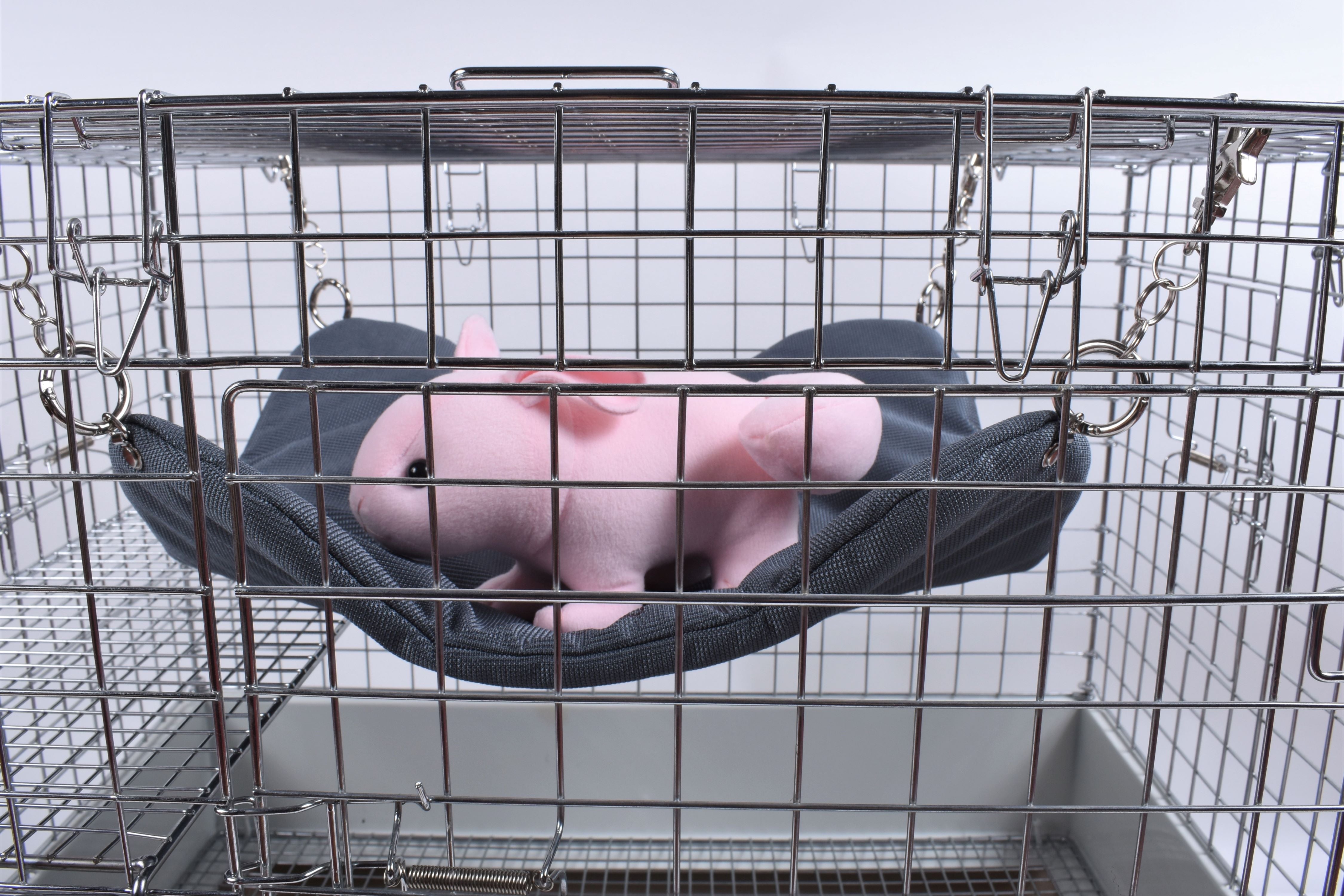 チンチラのハンモック – プラス工房