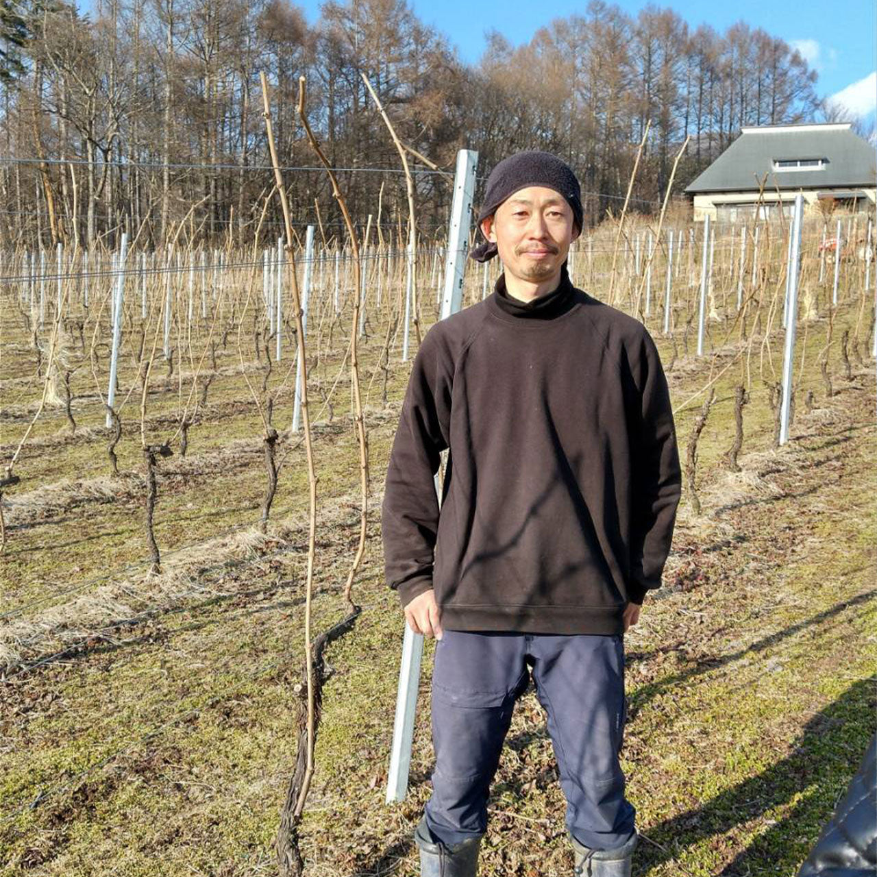 日本ワイン]テール ド シエル レザン ドゥ ルージュ 2024 赤 750ml