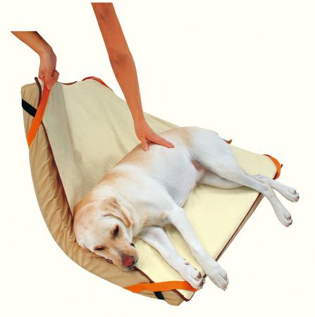 zuttone ずっとね 老犬介護用 床ずれ予防ベッド 大型犬用 | ペティオ