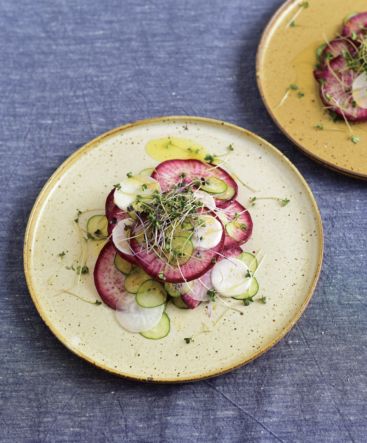 ソボカイ :: Traditional Modern :: ジュピター :: ジュピター 270