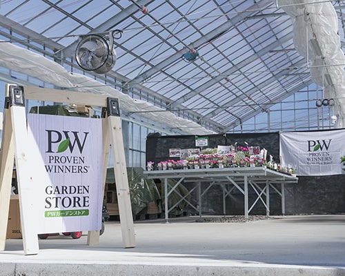 2024年春 PWガーデンストアOPENのお知らせ | PROVEN WINNERS (PW