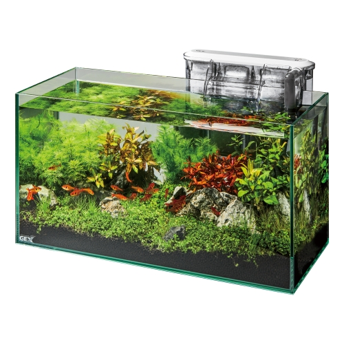 直接引取り限定GEXガラス水槽セット