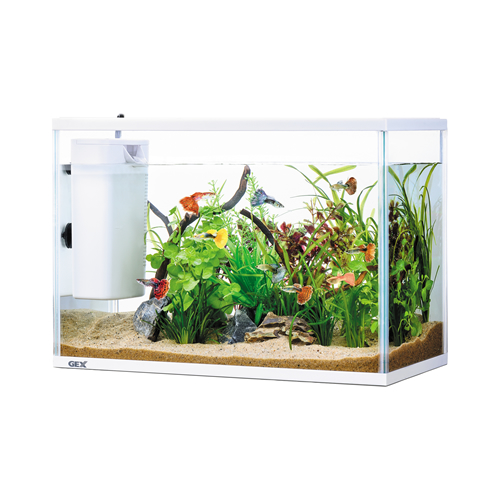 あーるさん ガラス水槽 水槽台セット 水槽/水槽セット/水槽台