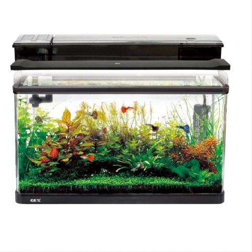 Saggg様専用水槽 てつさま専用オーダー水槽台でございます 小型水槽