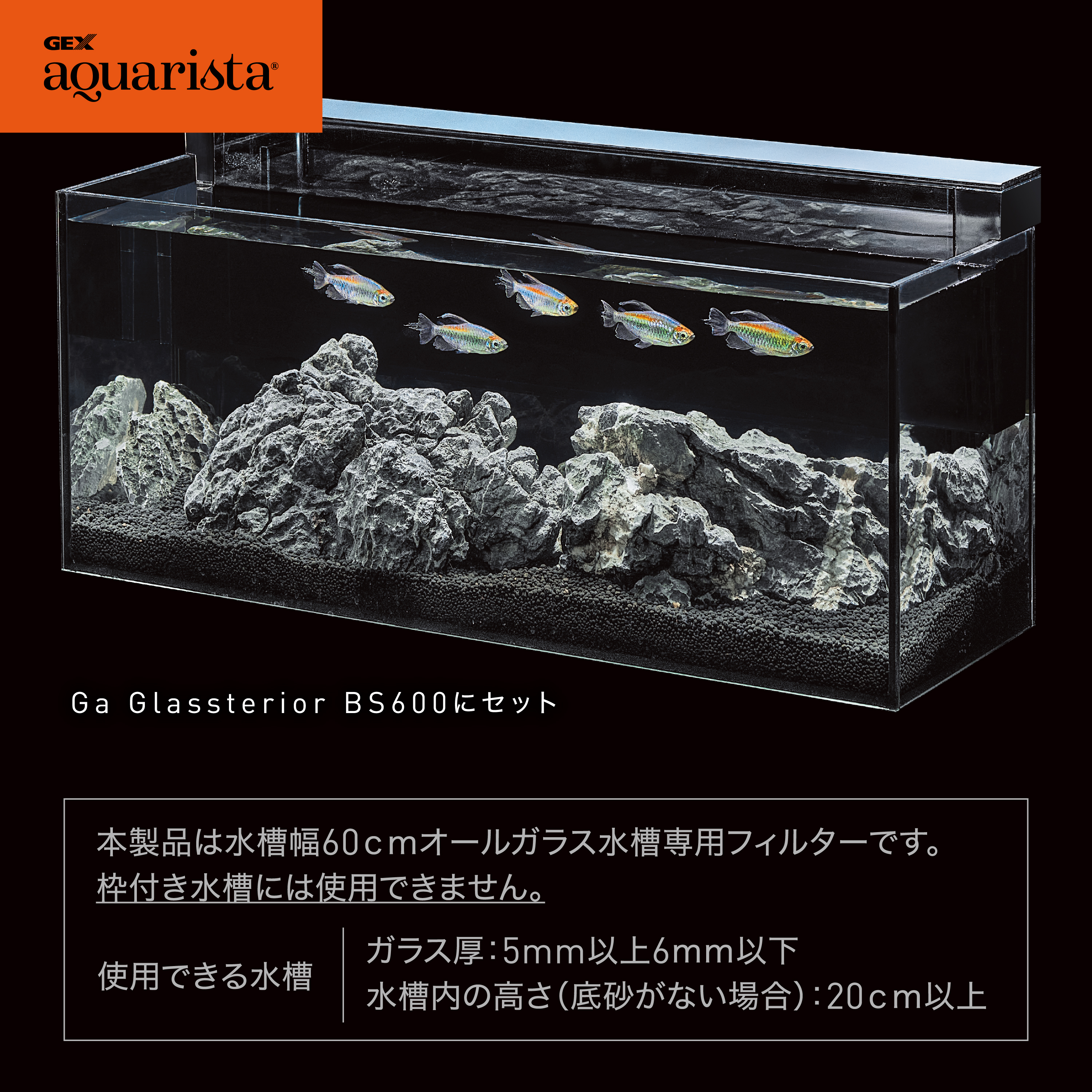 Ga GLASS CUSTOM 600(グラスカスタム600) | ジェックス株式会社