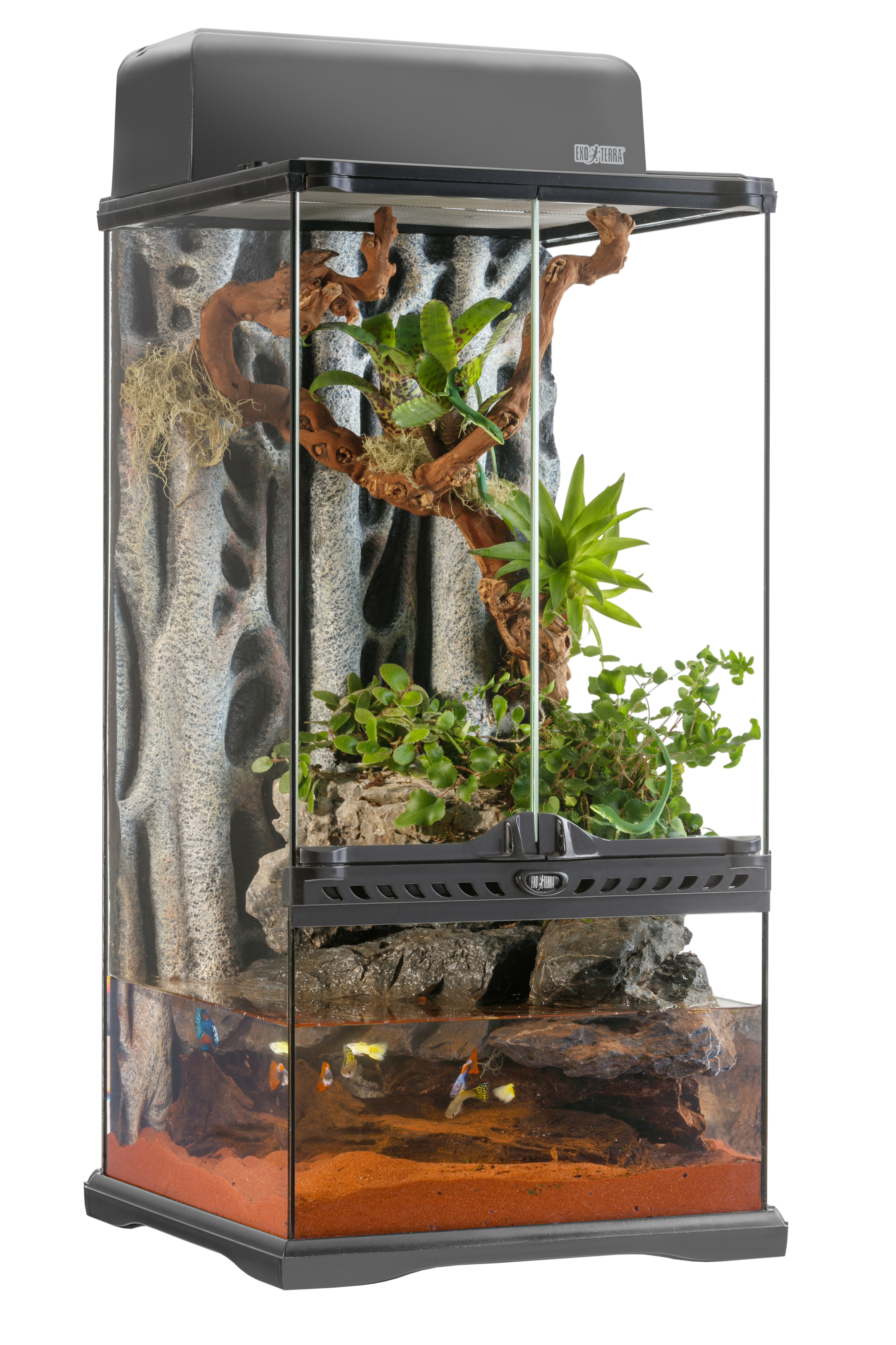 ③ 引取限定 エキゾテラ グラステラリウム9045