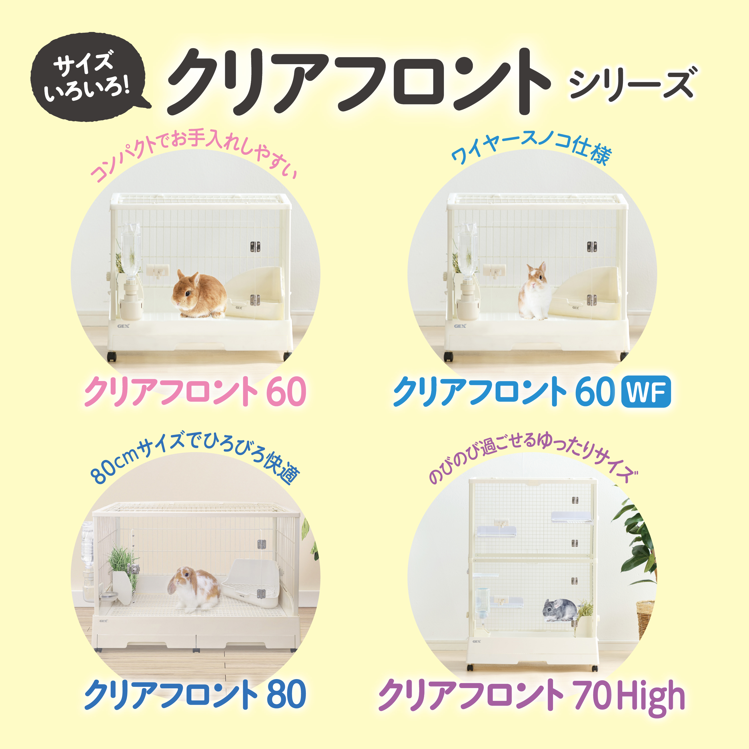 mydata_3121.jpg?1770013098