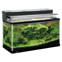 gex GEX 90㎝ 水槽とガラス蓋x2枚 90 水槽 セットの通販