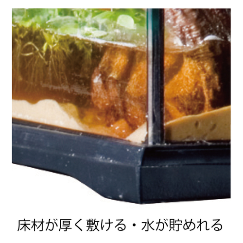グラステラリウム4530 PT2603 | ジェックス株式会社