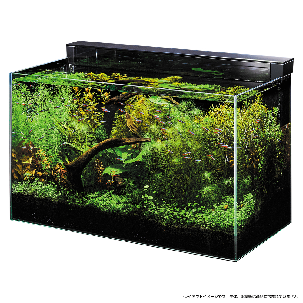 GEX アクアリスタ 水槽 グラステリア TS600D Ga Glassterior TS 600D
