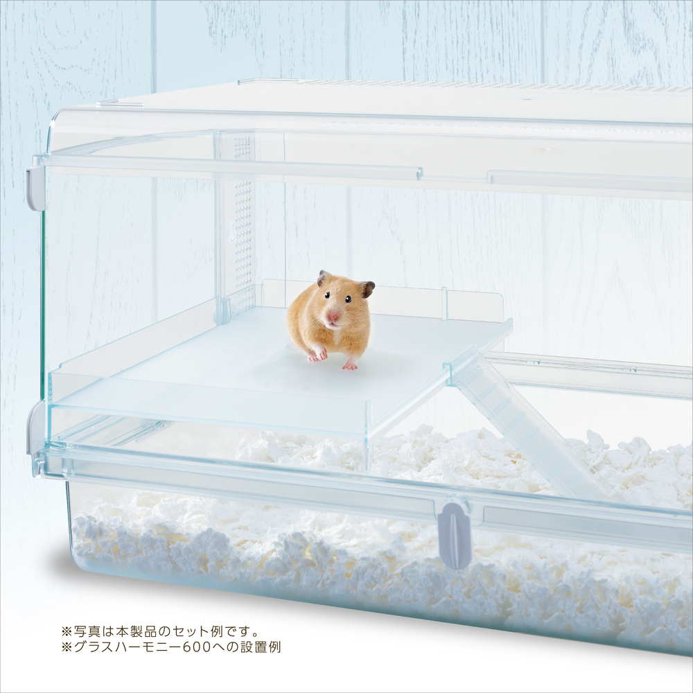 ハーモニーステージL | ジェックス株式会社