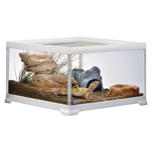 レプテリアホワイト300CUBE Low | ジェックス株式会社