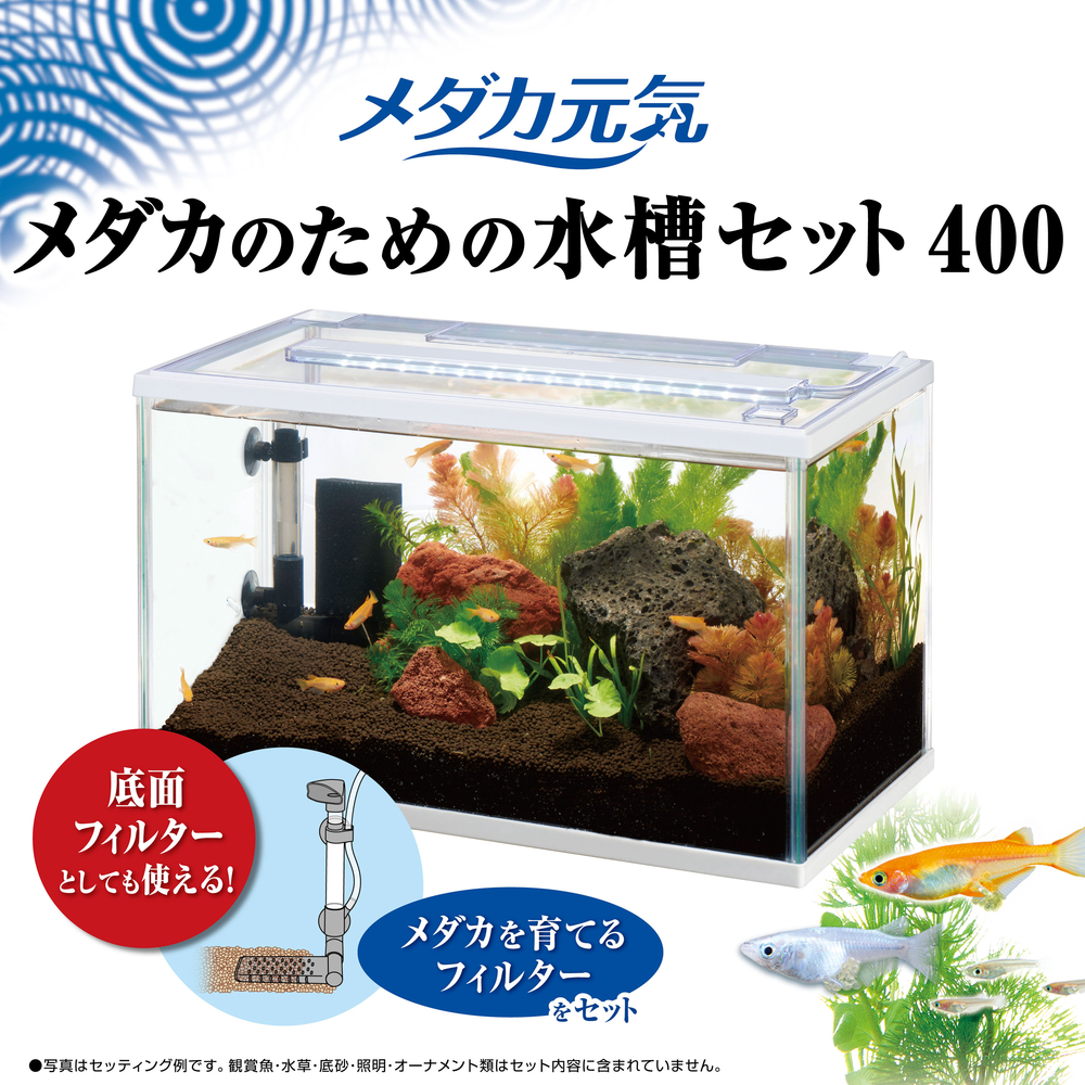 メダカ元気 メダカのための水槽セット400 | ジェックス株式会社
