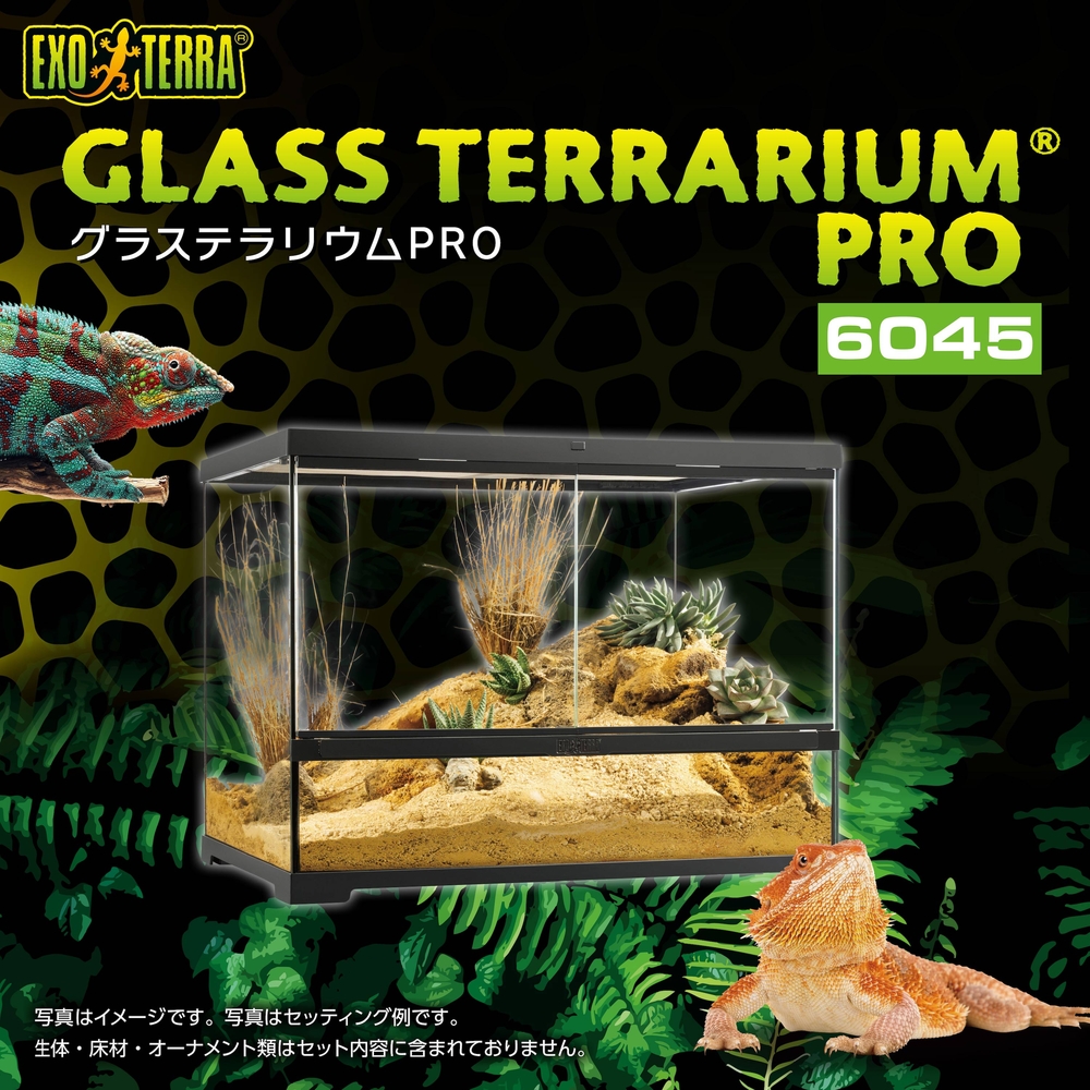 グラステラリウムPRO6045 PT4408 | ジェックス株式会社