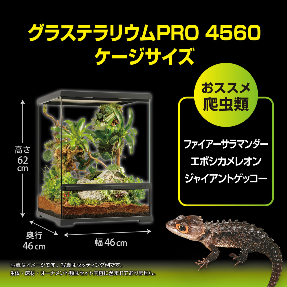グラステラリウムPRO4560 PT4405 | ジェックス株式会社