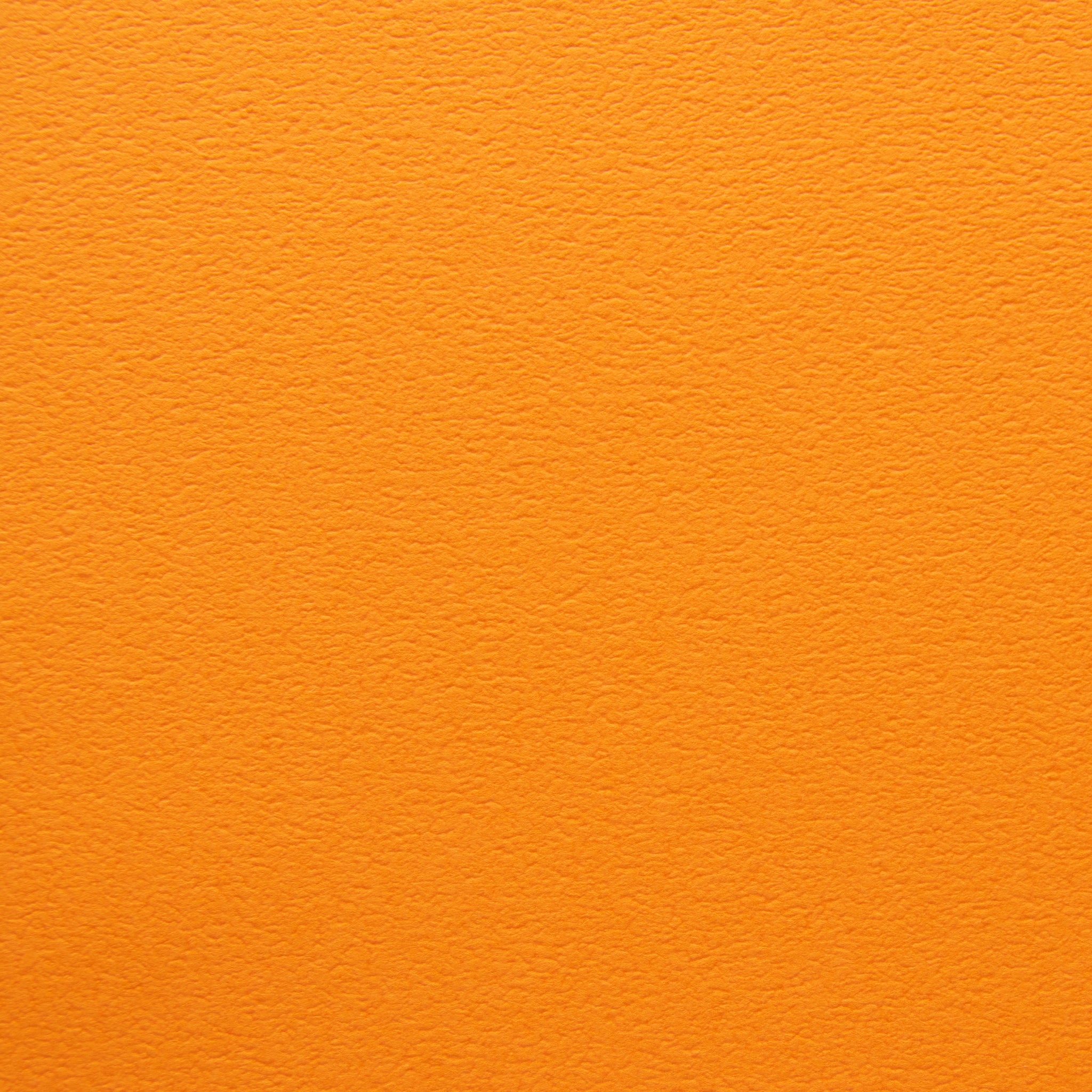 PAPER PALETTE ポストカード タント N-56（オレンジ） 100枚