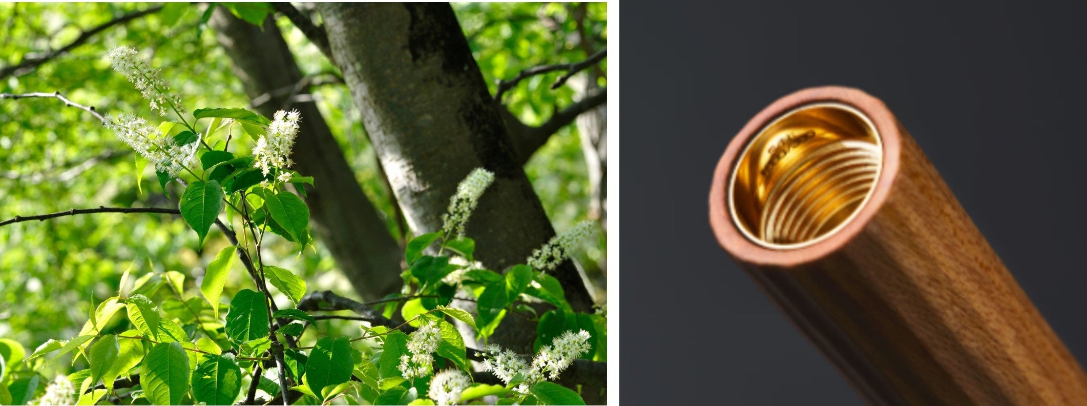 高級筆記具ブランド「＜KOKUYO WP＞Limited Edition 2024木軸モデル