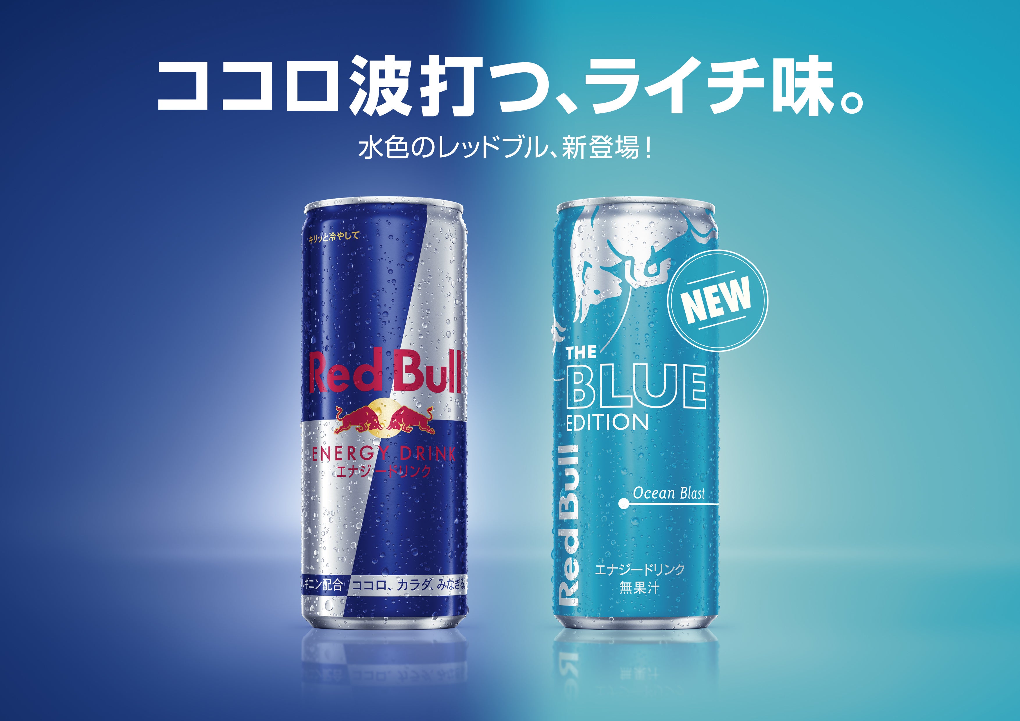 レッドブル RedBull まとめ売り【訳あり】 レッドブル RedBull まとめ