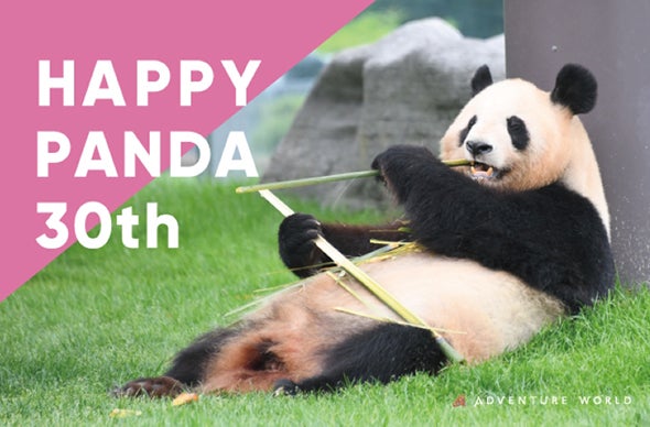 HAPPY PANDA 30th／BabyBus × アドベンチャーワールドBabyBus「キキ