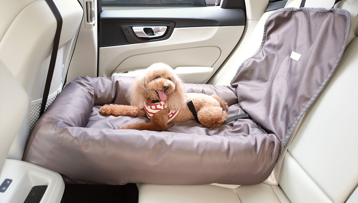 愛犬と車で安全にお出かけしたい！そんなあなたのための『後部座席用