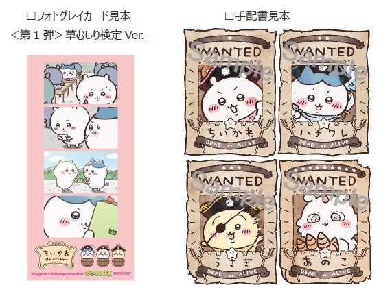 フジテレビ】海賊になったちいかわたちが秘宝を求める！？オリジナル