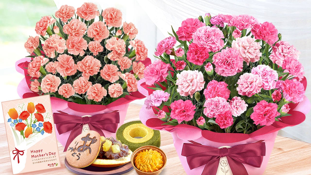 JAFCA発表の2026年の色「ハートフェルト・ピンク」を体現する