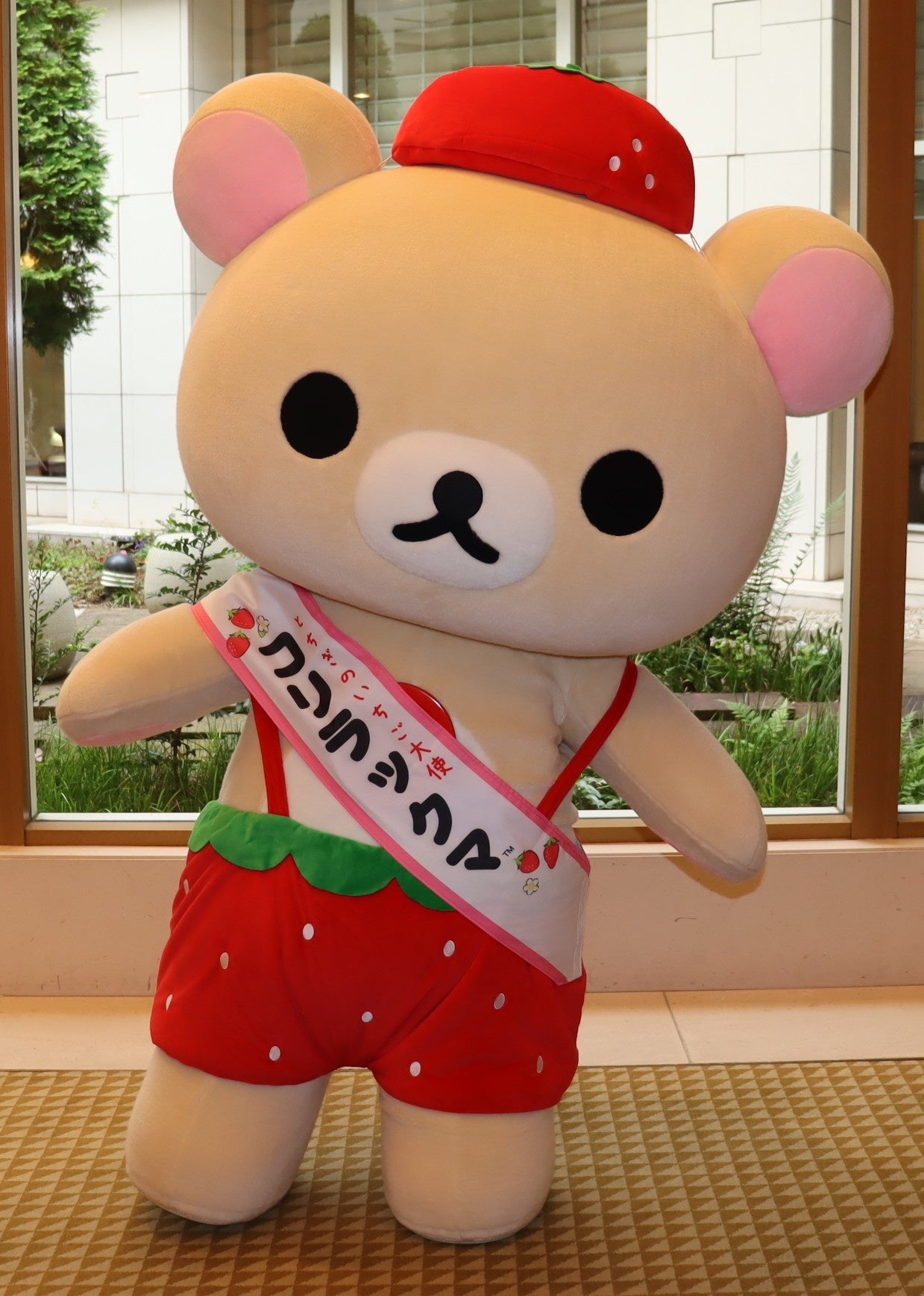 9年連続の就任が決定！コリラックマが「とちぎのいちご大使」に任命