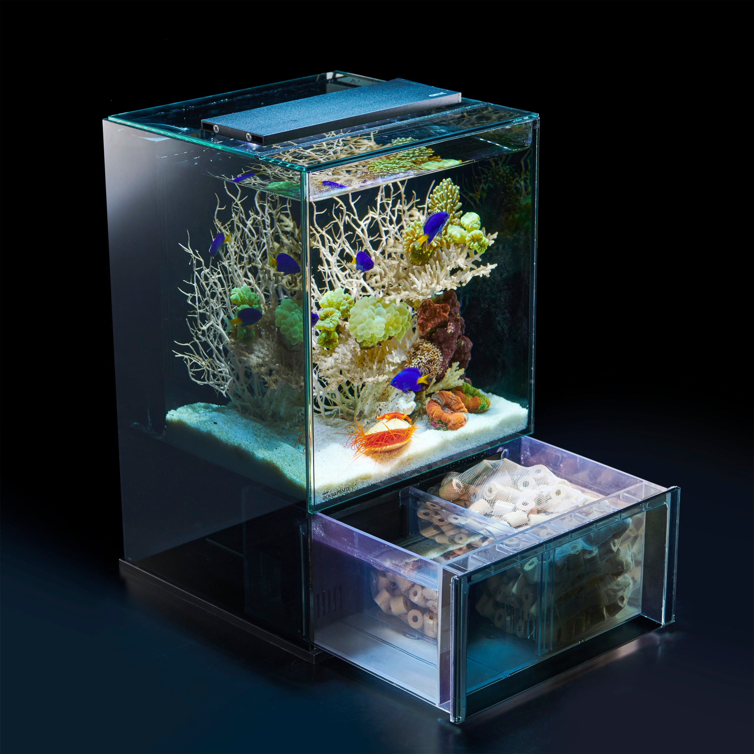 新品未使用】オーバーフロー水槽GEX グラステリア アグス OF 450