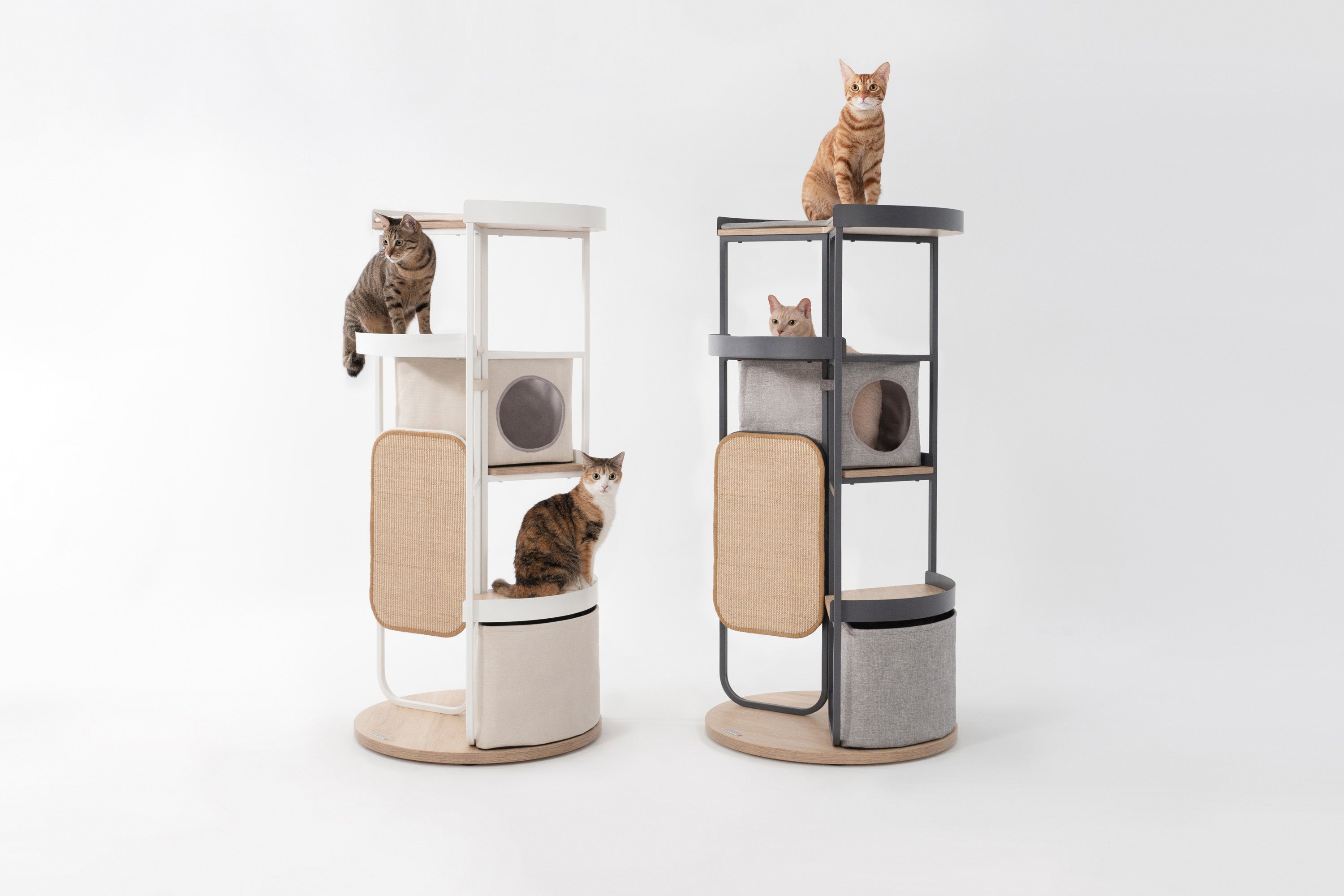 人も猫も大満足のMYZOO初キャットタワー！9/11よりMakuakeにて販売